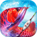 釣魚王者