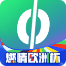 愛(ài)奇藝體育