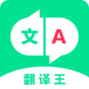 翻譯王