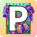 paint