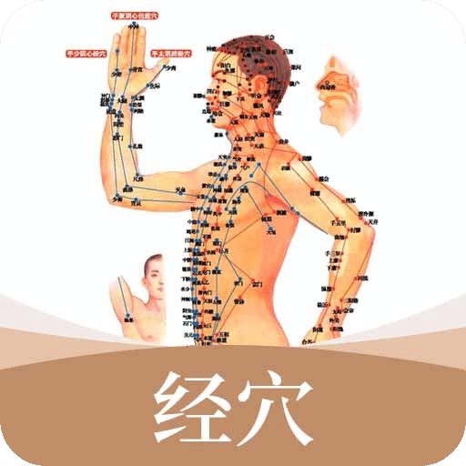 中醫(yī)經(jīng)絡(luò)穴位標準指南