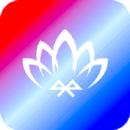 寶蓮燈echo