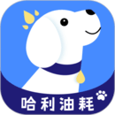 哈利油耗