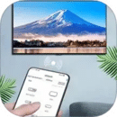 手機(jī)電視遙控器王