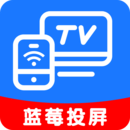 藍(lán)莓投屏