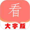 大字版