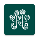 野獸派