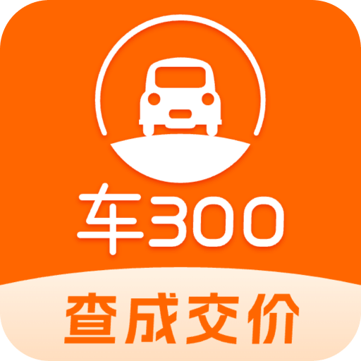 车300二手车