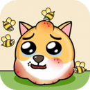 ������������������������Ƭ���߲��ź�ɫ��Ƶ