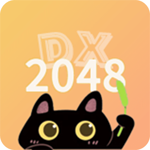 2048DX