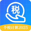 個(gè)人所得稅申報(bào)