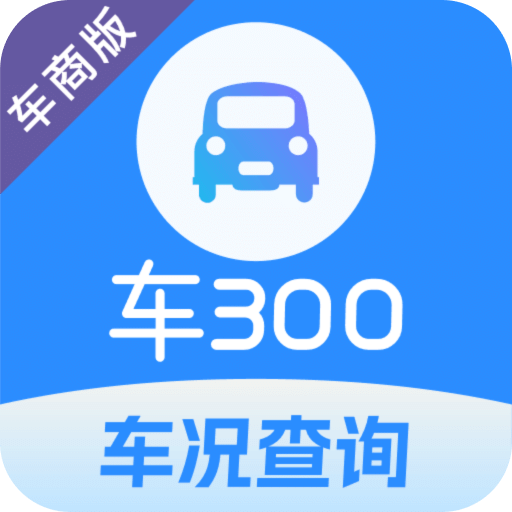 车300专业版