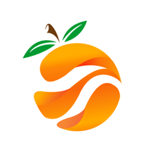 南果視頻播放器