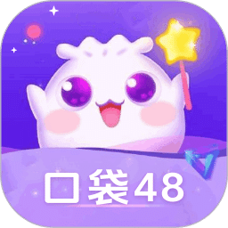 口袋48