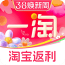 一淘