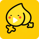 黃桃影視播放器