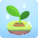 專(zhuān)注植物