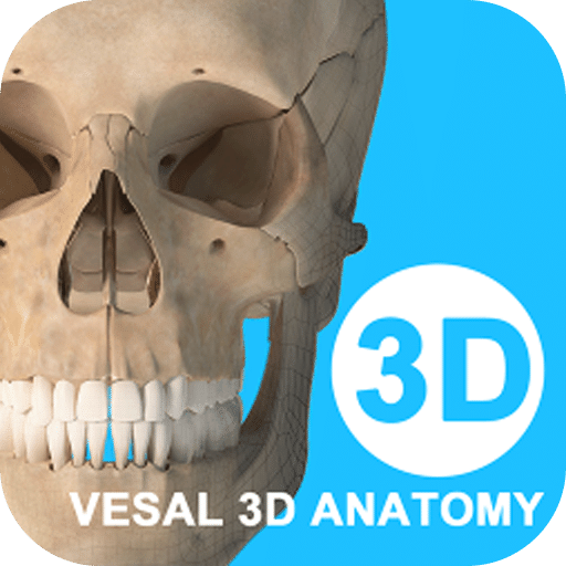 維薩里3D解剖