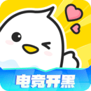 不鴿電競