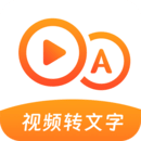 視頻轉(zhuǎn)文字大師