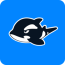 網(wǎng)魚(yú)
