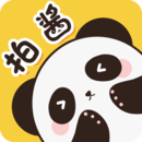 拍醬切切