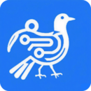 千鳥物聯(lián)