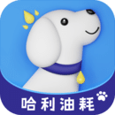 哈利油耗