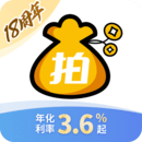 拍拍貸借款