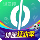 愛(ài)奇藝體育