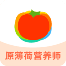 薄荷寶箱
