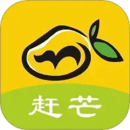 趕芒