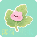 薄荷壁紙精靈