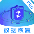數(shù)據(jù)恢復(fù)