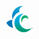 風(fēng)信子