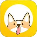早起打卡之星