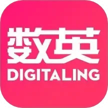 數(shù)英