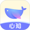 心知