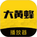 大黃蜂