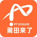 莆田來了