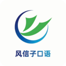 風(fēng)信子