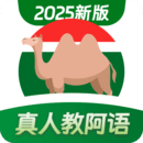 阿拉伯語學習