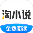 淘小說