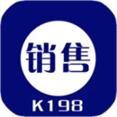 k198銷(xiāo)售出庫(kù)單