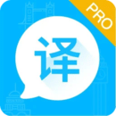 英語(yǔ)翻譯
