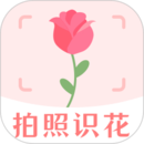 拍照識花