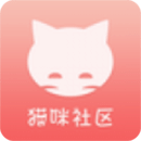 貓咪社區(qū)
