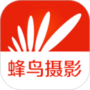 蜂鳥攝影