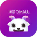 洋蔥海外倉(cāng)