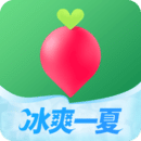 叮咚買菜
